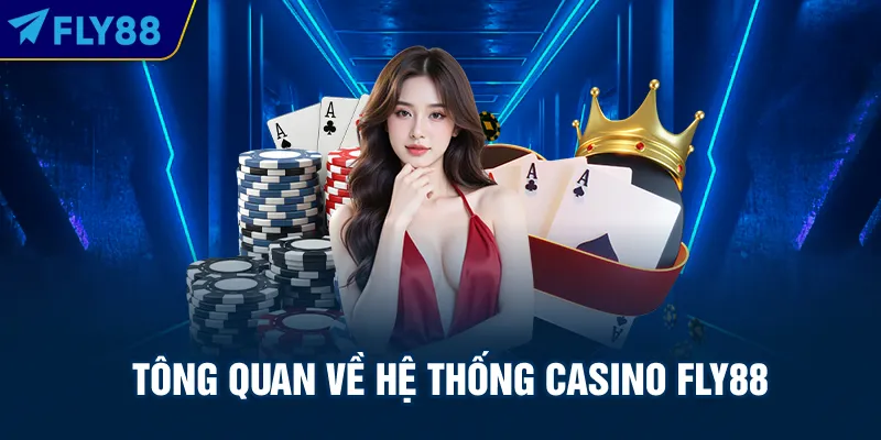 Tông quan về hệ thống casino FLy88